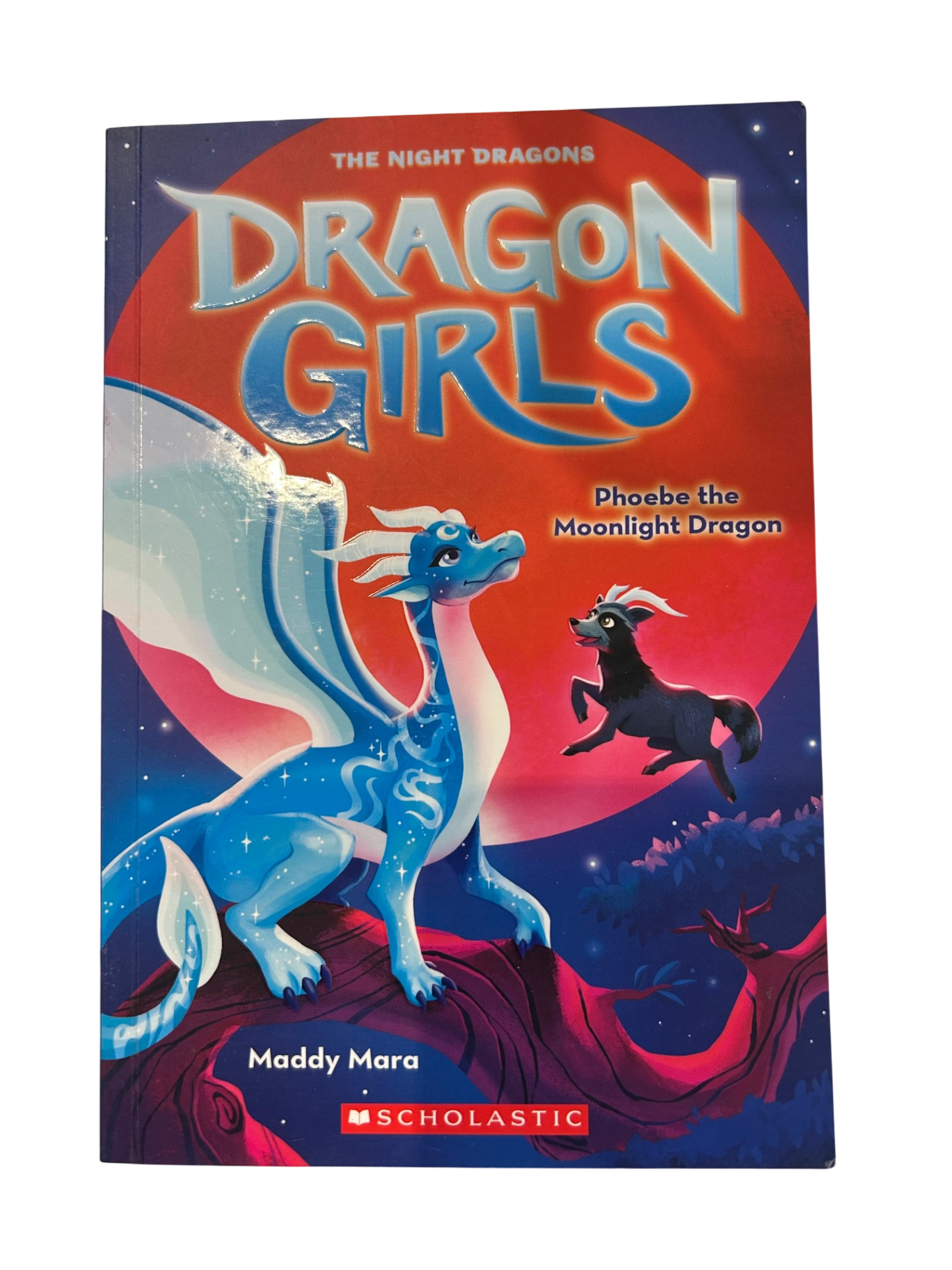 Dragon girls Book, ,