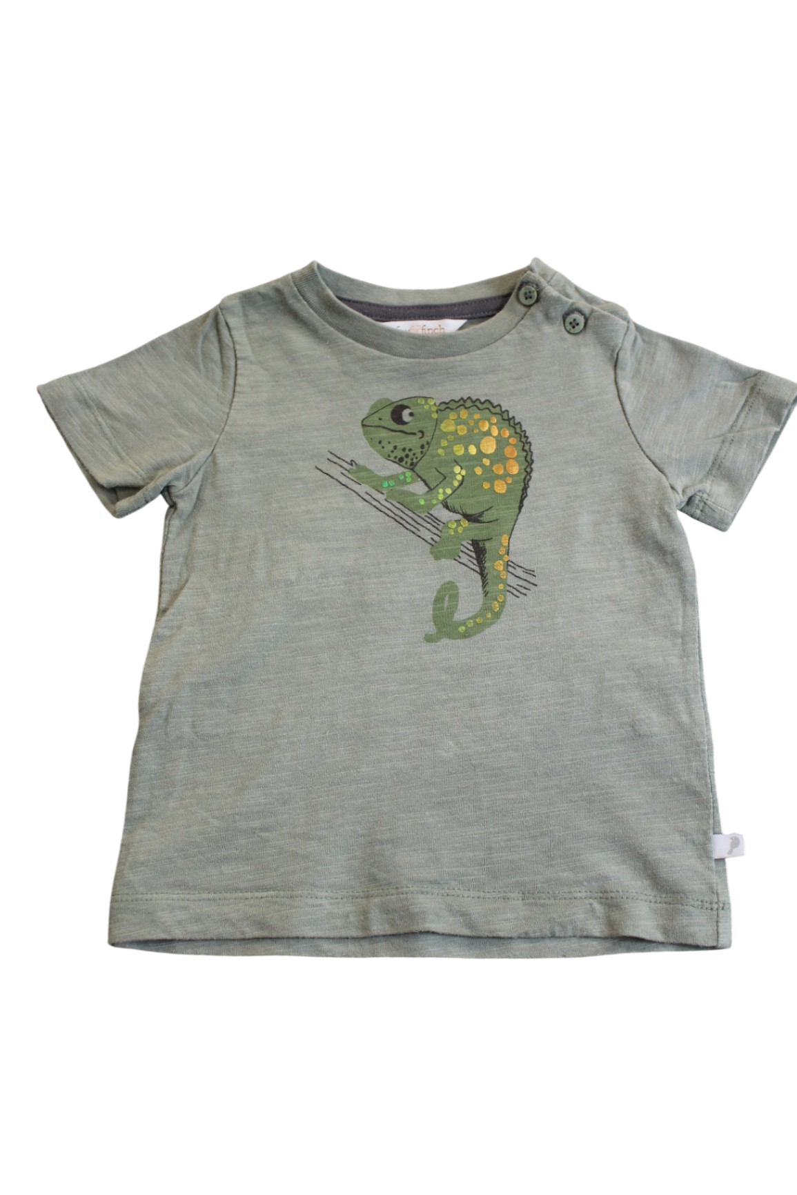 Fox & Finch T-Shirt, Green, 1