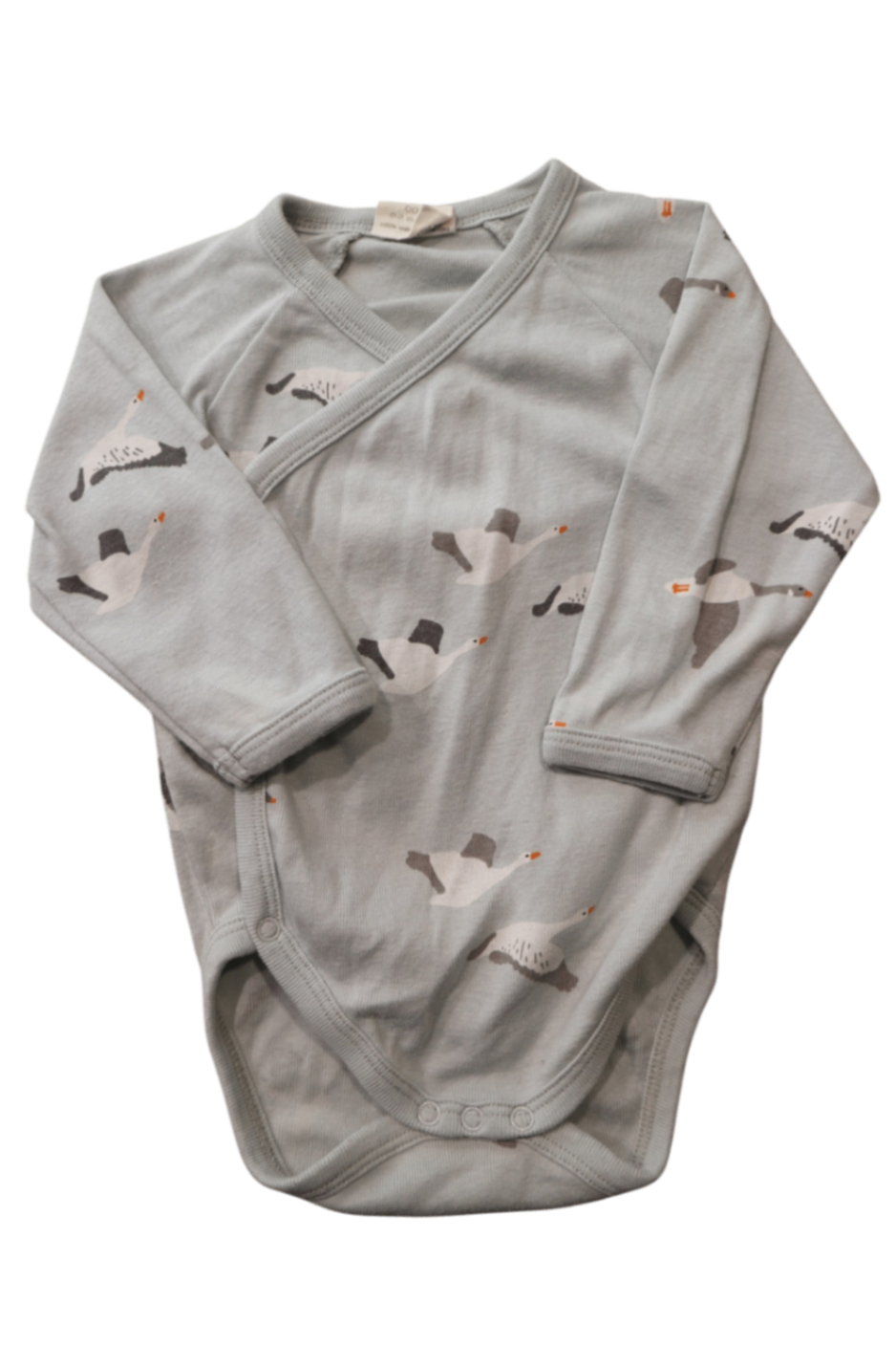 Nature Baby Bodysuit, Light blue, 000