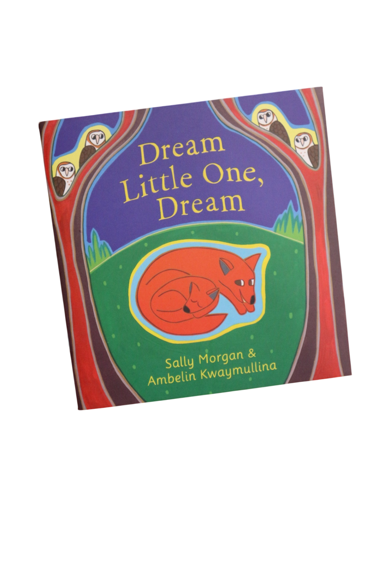 Dream Little One, Dream Book