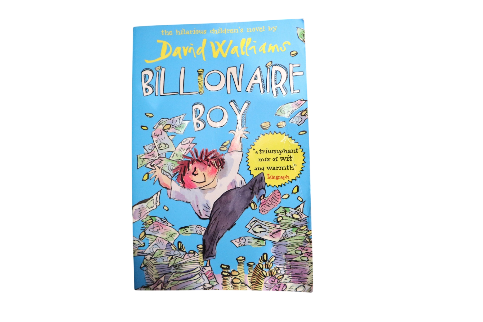 Billionaire Boy Book, ,