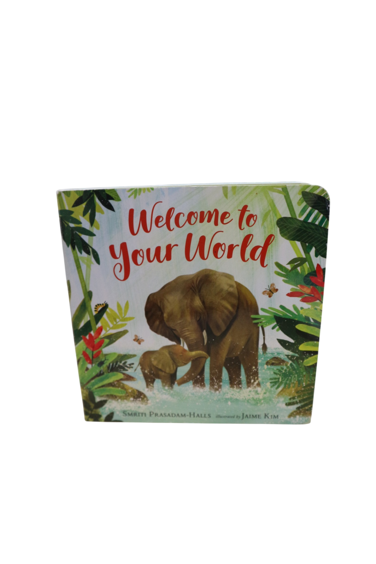 Welcome to your world Boardbook, ,