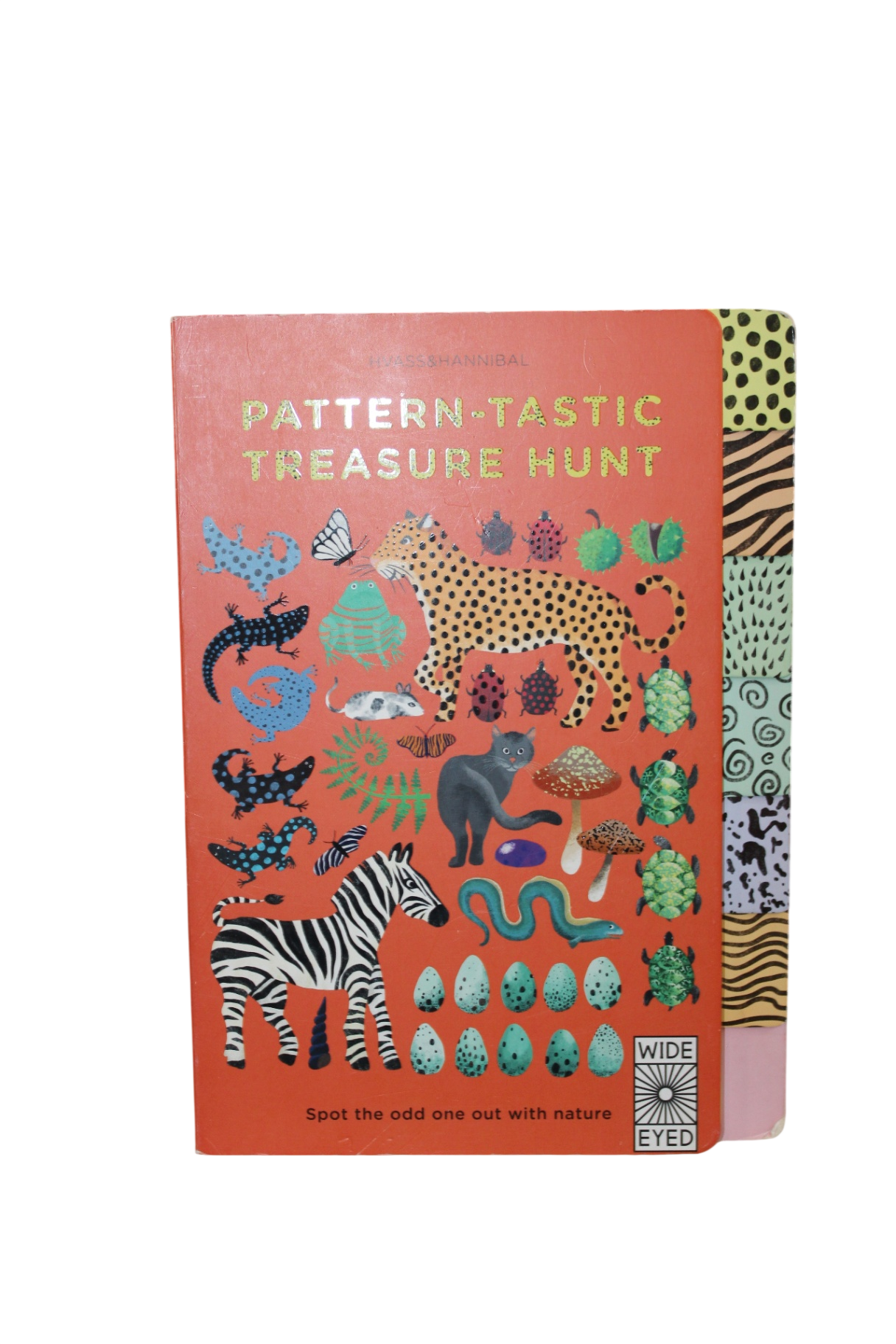 Pattern-tastic Treasure Hunt Boardbook, ,
