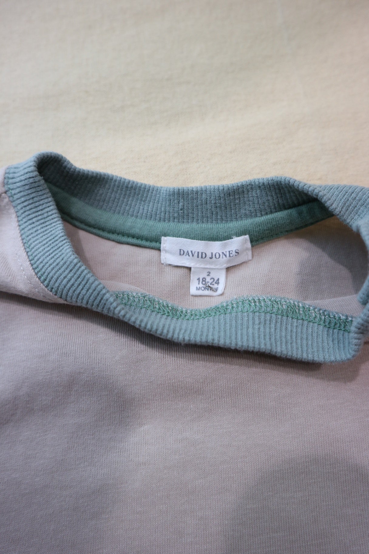 David Jones T-Shirt, Light grey with blue-green trim, 2