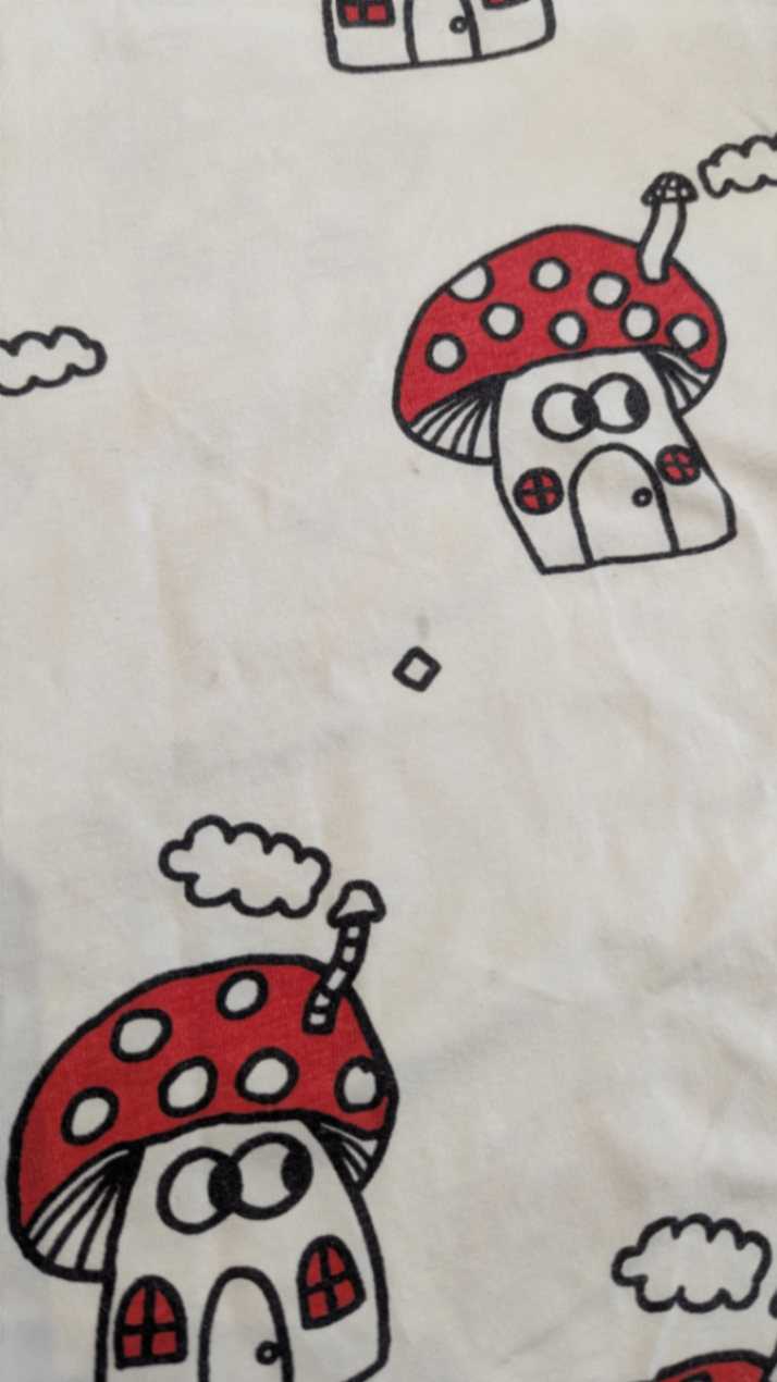 Littlehorn T-Shirt, White w Red Mushrooms, 8
