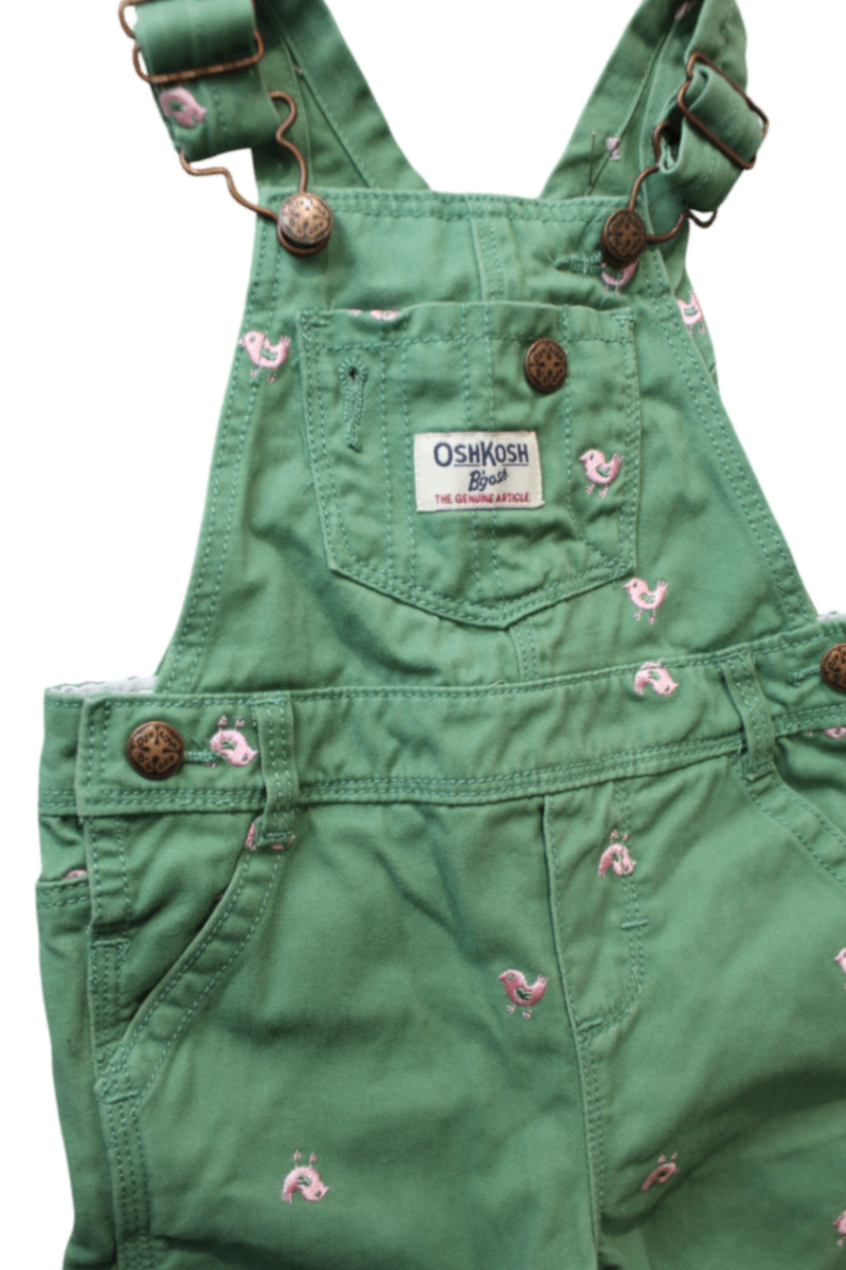 OshKosh B'gosh Overalls, Green, 18m