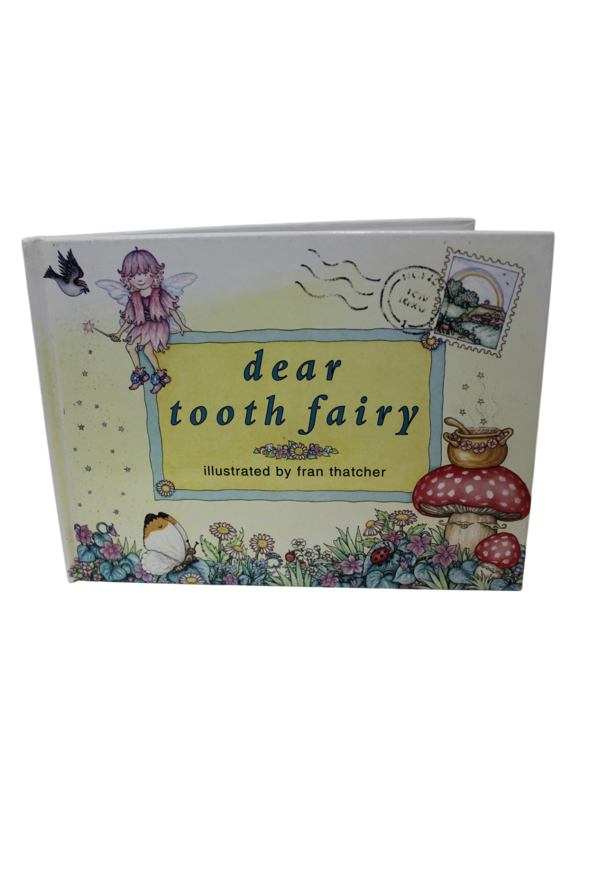 Dear Tooth Fairy Book,