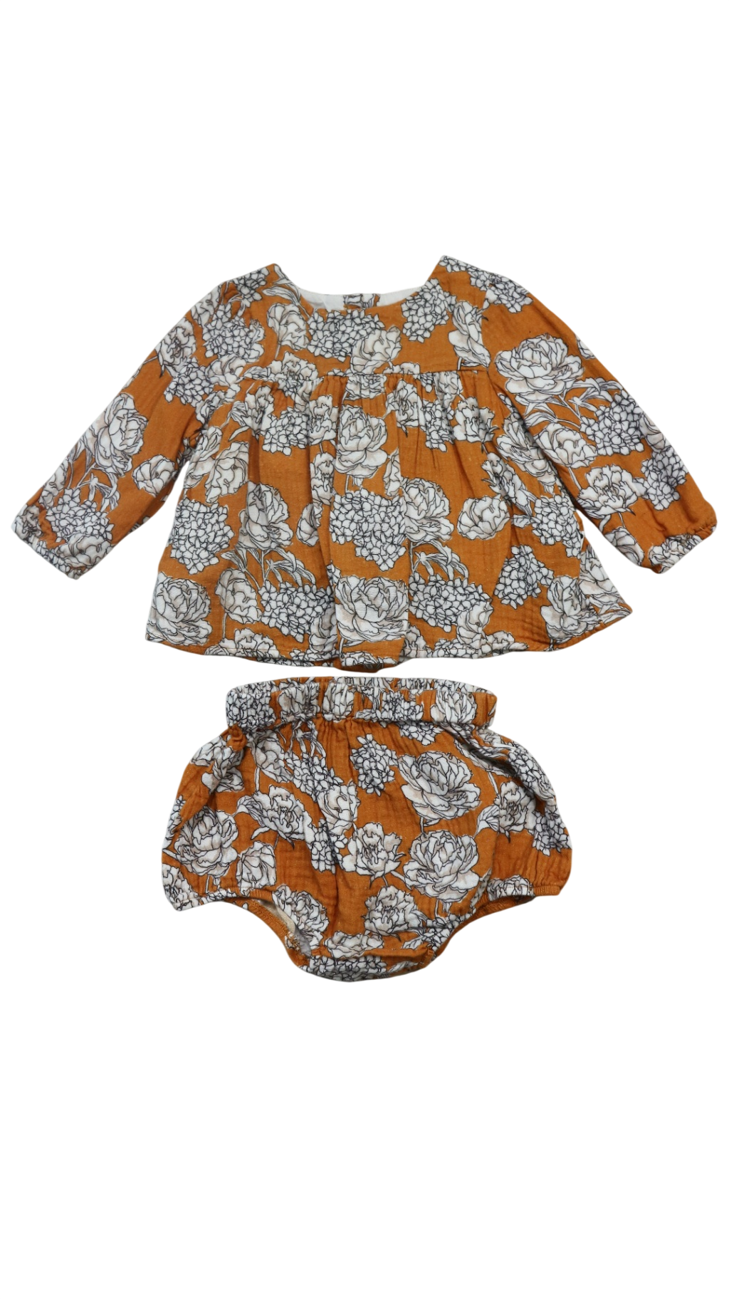 Pheonix and the Fox Outfit, 0