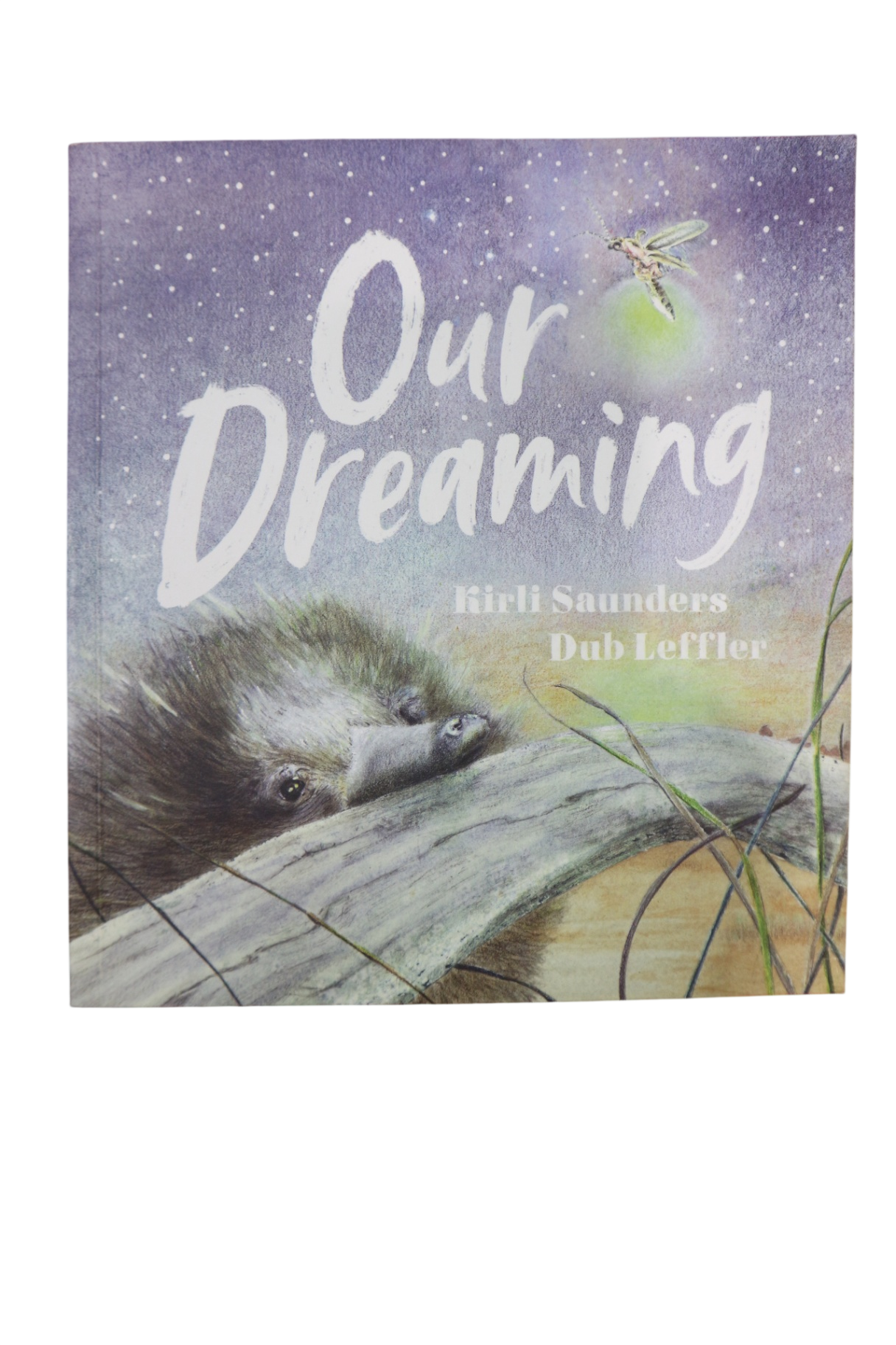 Our Dreaming Book,