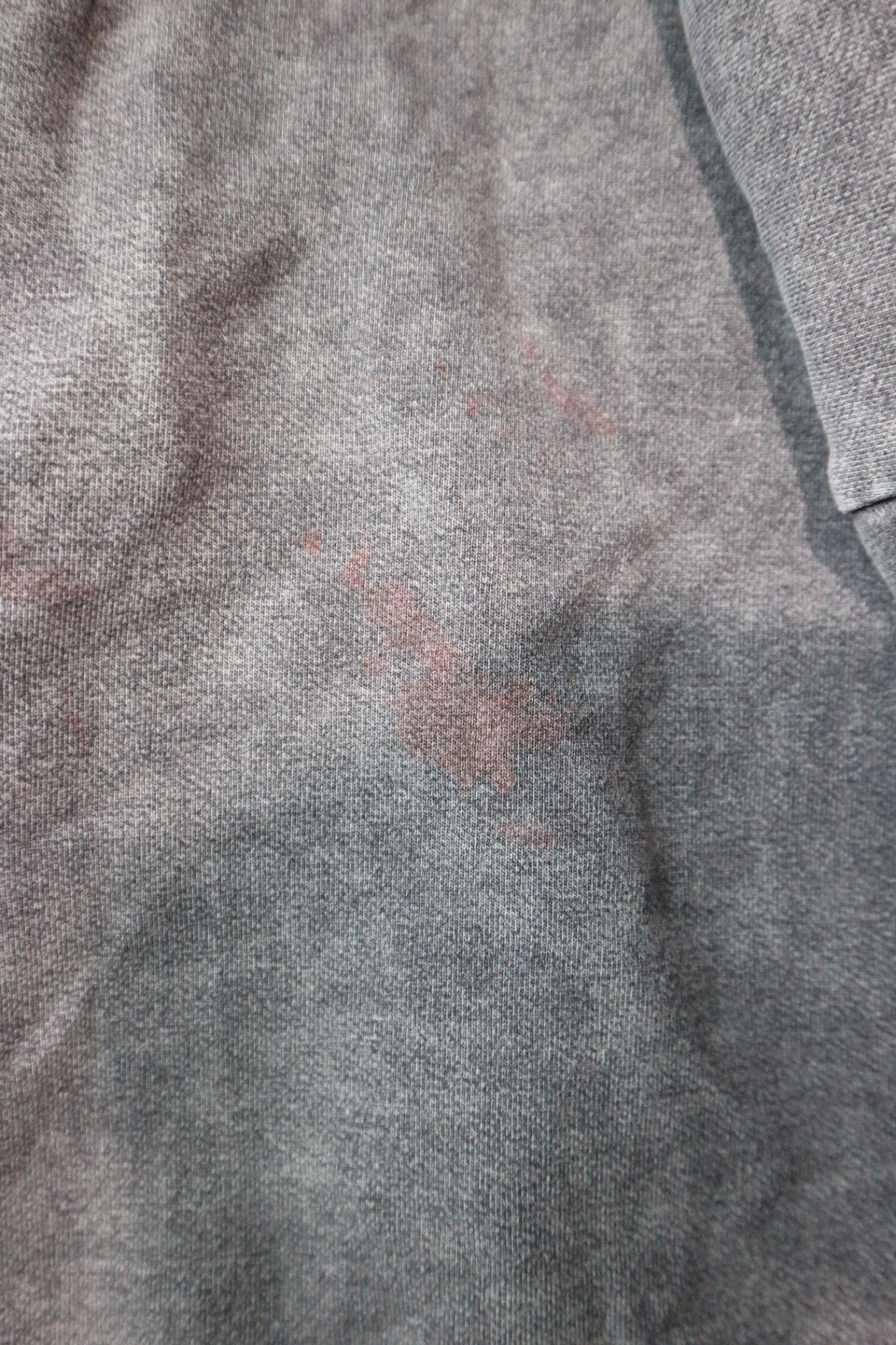 Minti Sweatshirt, 3