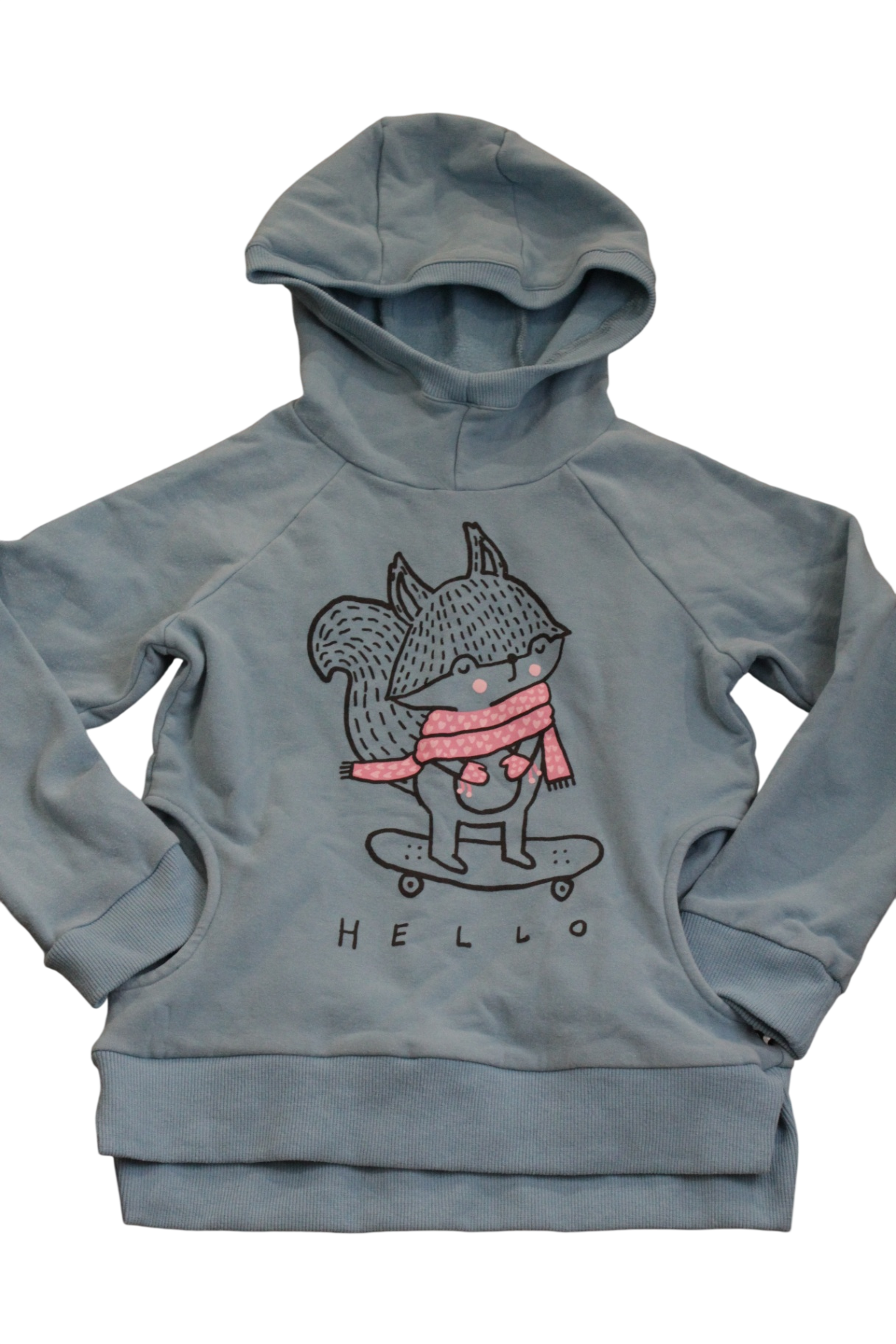 Minti Hoodie, Teal, squirrel skating, 8