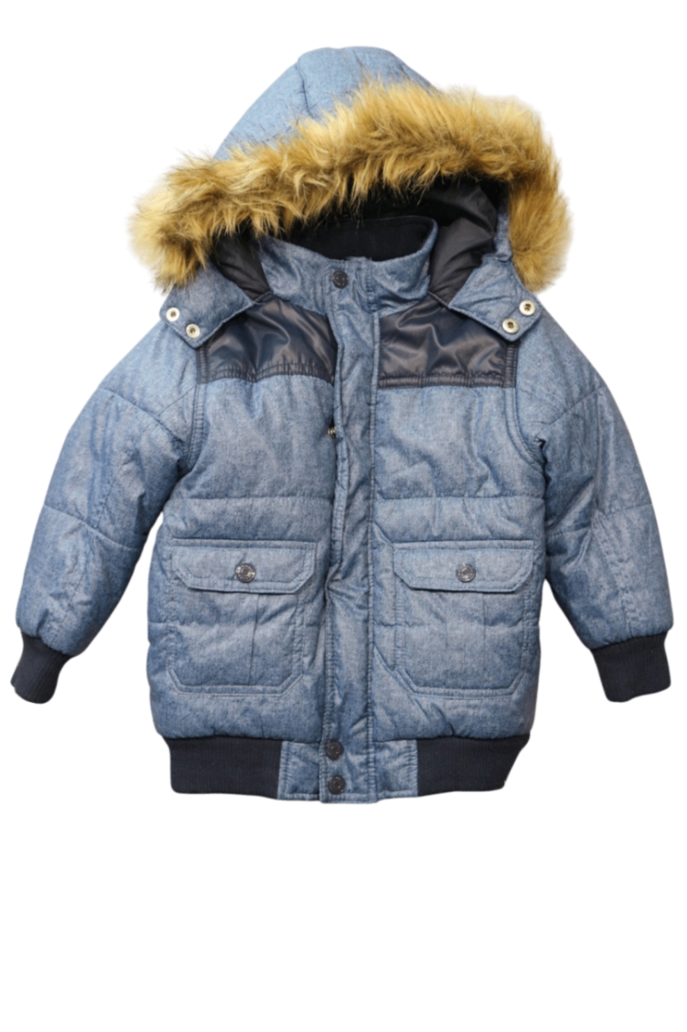 Pumpkin Patch Jacket, Light blue, 3