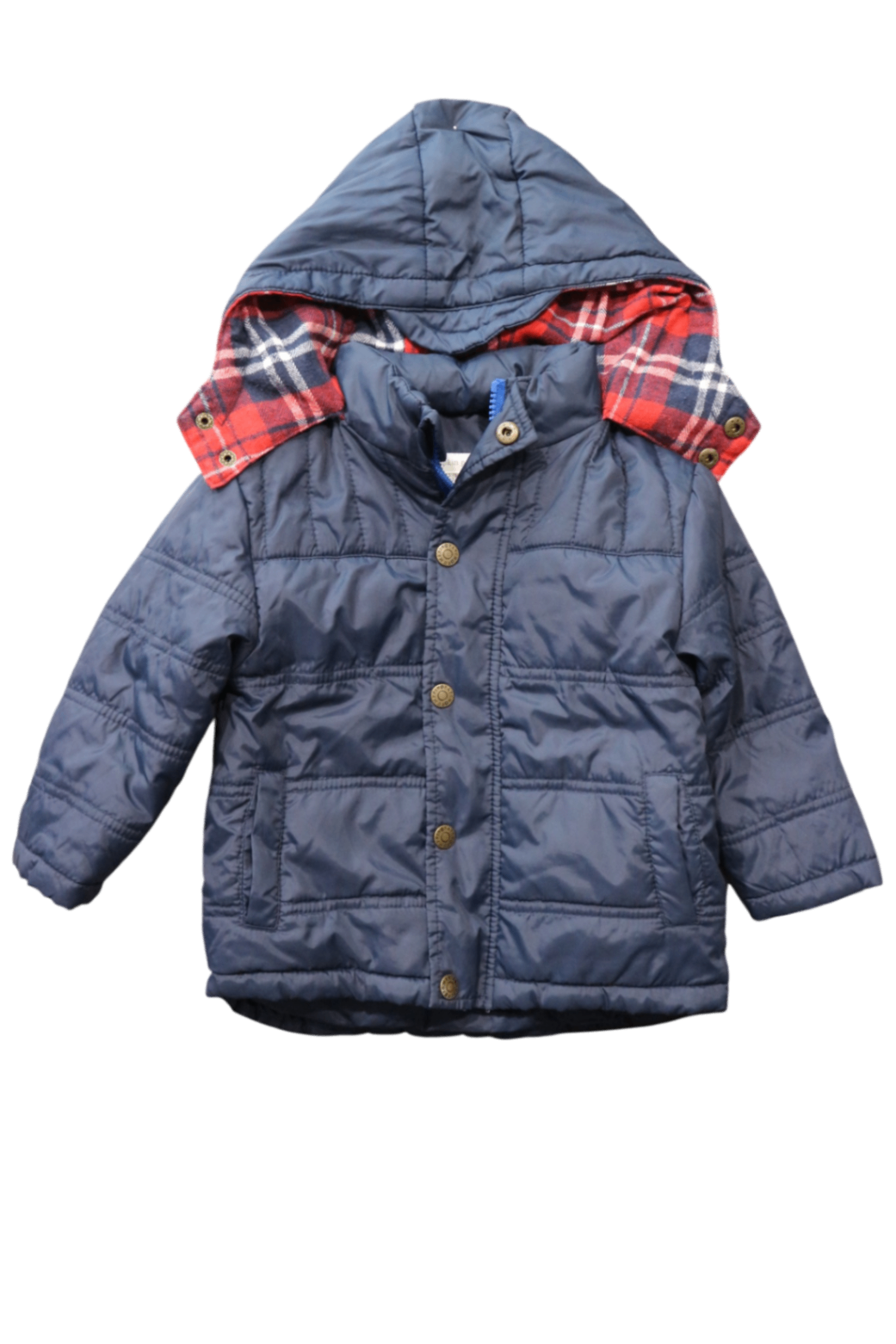 Pumpkin Patch Coat, Navy Blue, 1