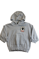 Mini Rodini Hoodie, Grey, 2-3
