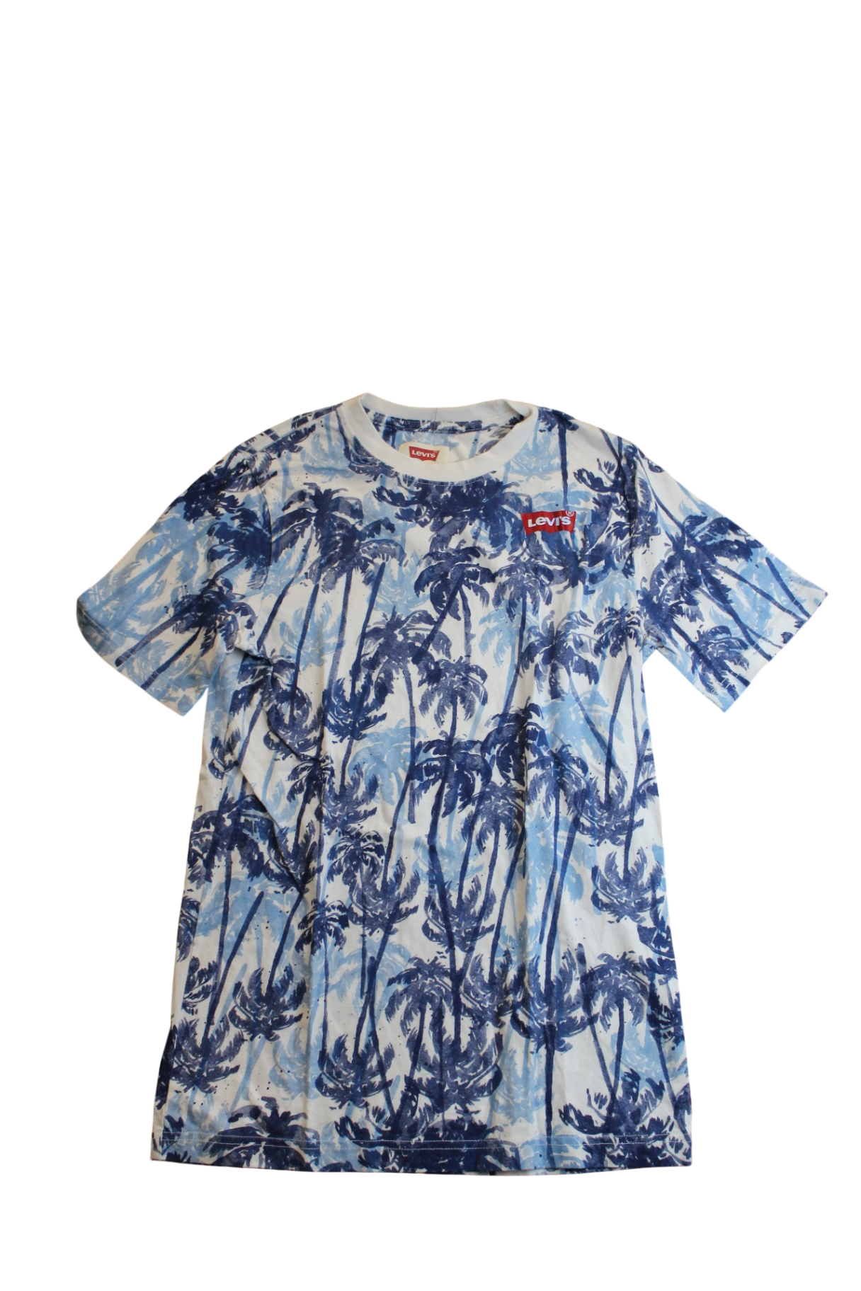 Levi's T-Shirt, Blue and White, 13