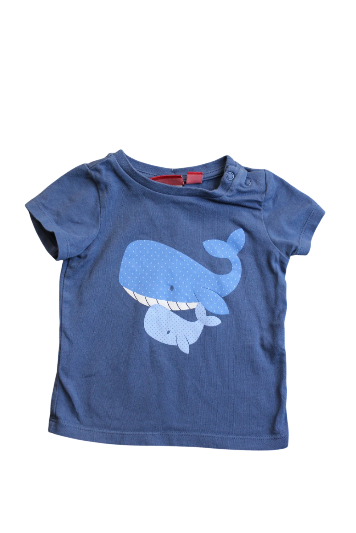 Sprout T-Shirt, Blue, 00