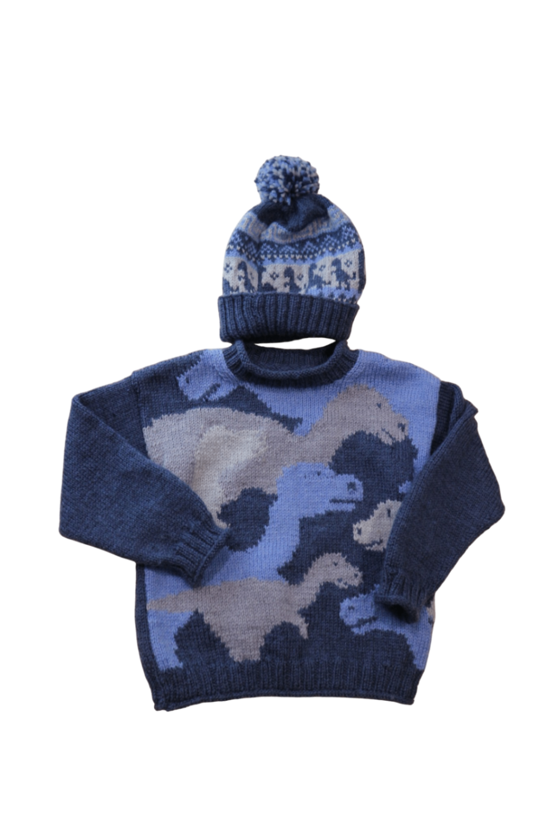 Handmade Jumper & Beanie Set, Blue Dinosaur, 5
