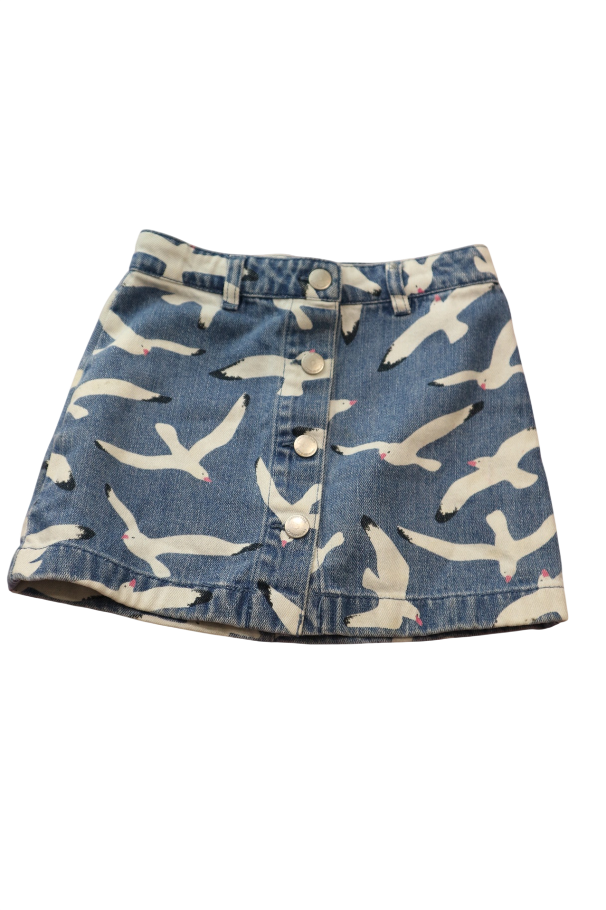 Country Road Skirt, Blue, 5