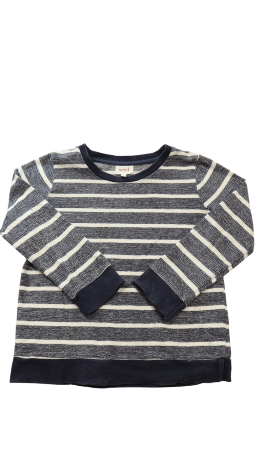 Seed Long-Sleeve T-Shirt, Navy White Stripes, 6