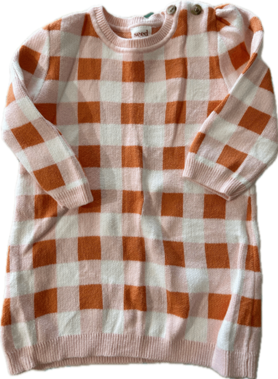 Seed Dress, Pink, orange and white gingham, 0