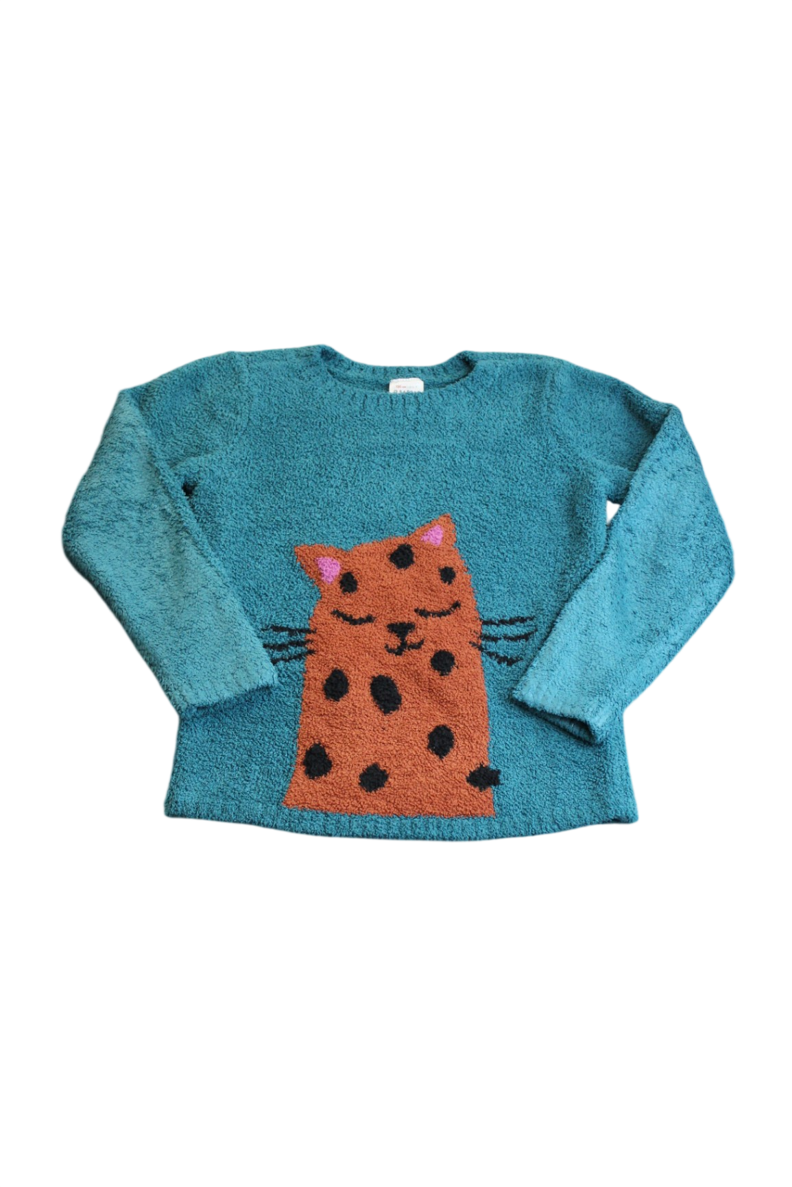 Hanna Andersson Jumper, Teal with cat, 7