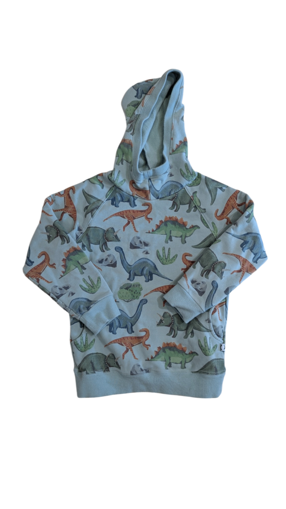 Minti Hoodie, Light Green w Dino Prints, 7