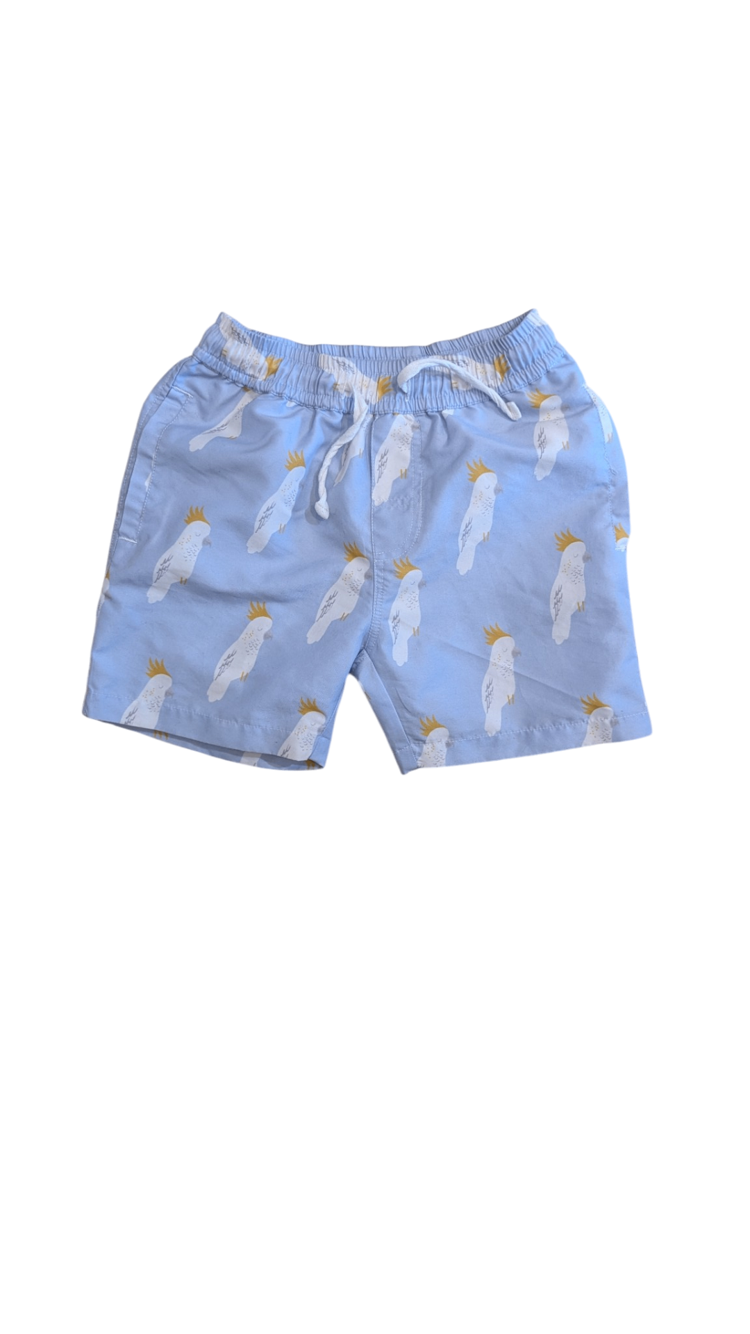 Goldie & Ace Shorts, Light Blue, 8