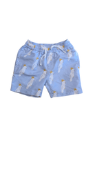 Goldie & Ace Shorts, Light Blue, 8
