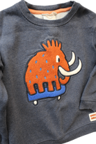 Jack & Milly Jumper, Blue, 4