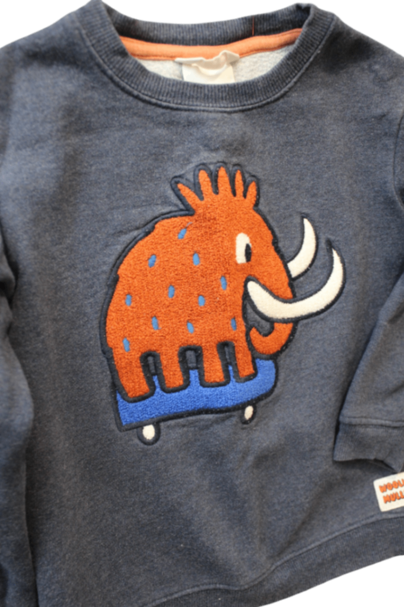 Jack & Milly Jumper, Blue, 4