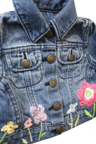 Baby Gap Jacket, Blue, 1