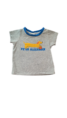 Peter Alexander T-Shirt, Grey w Blue Trims, 00