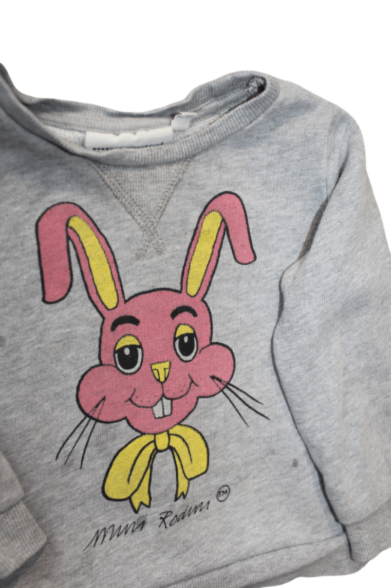 Mini Rodini Jumper, Grey, 0-1