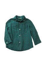 Seed Shirt, Green Blue Gingham, 1-2Y