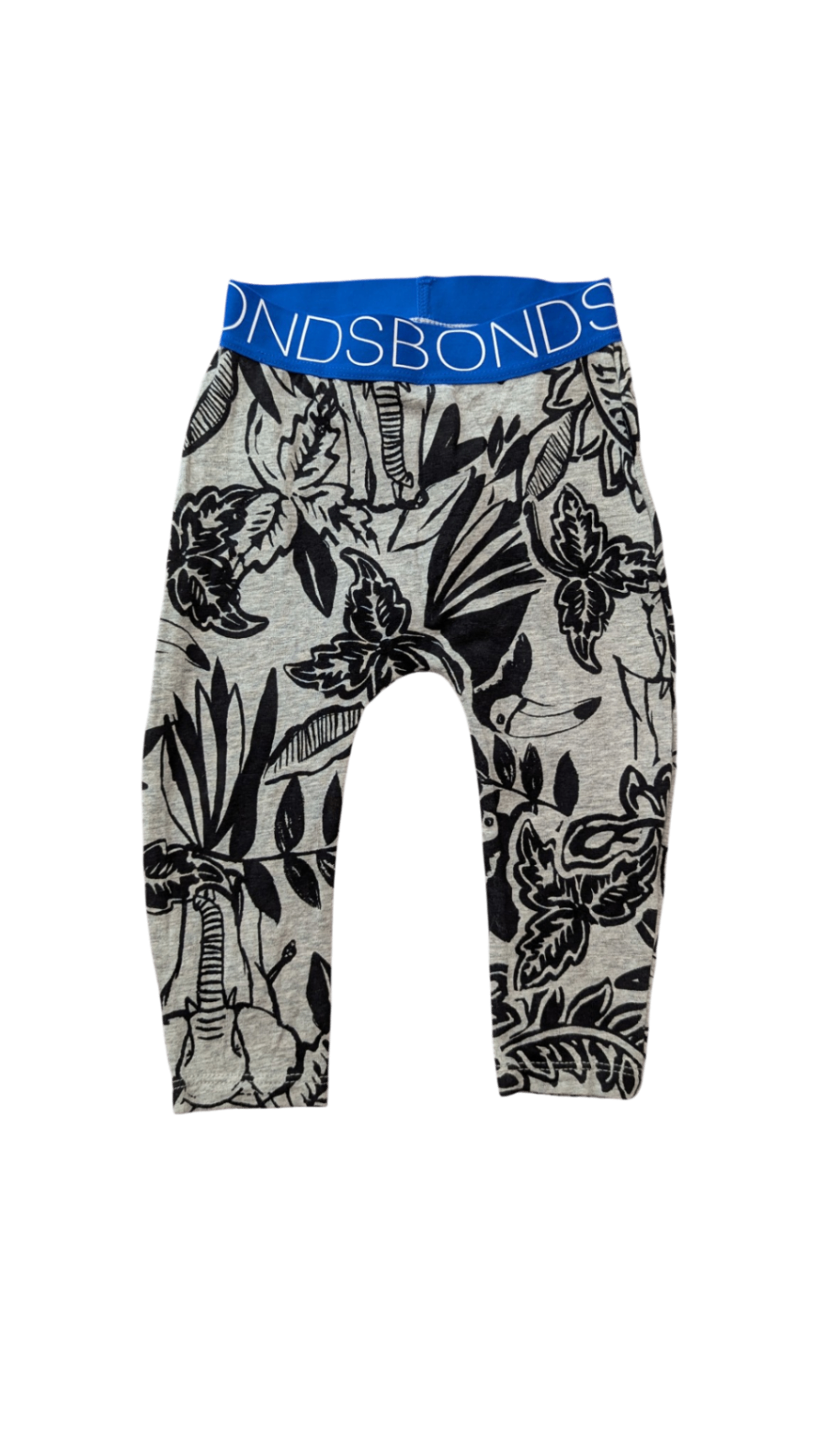 Bonds Leggings, Grey w Black Bird Prints & Blue Trim, 6-12M