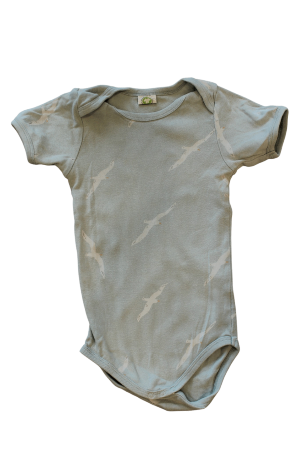 Nature Baby Bodysuit, Light blue/birds, 1